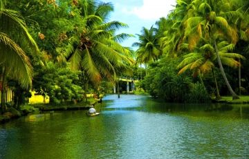 Ecstatic 6 Days 5 Nights Cochin, Kumarakom, Alleppey and Kovalam Tour Package