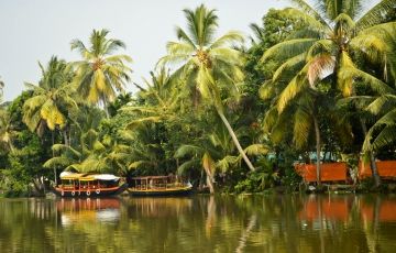Ecstatic 6 Days 5 Nights Cochin, Kumarakom, Alleppey and Kovalam Tour Package