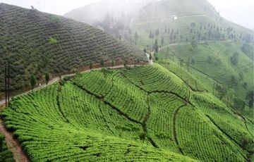 Darjeeling and Pelling (4 Nights/5 Days) Package