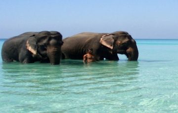 Amazing 6 Days 5 Nights Port Blair and Havelock Trip Package