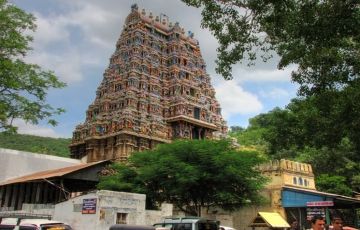 8 Days Cochin to Munnar Tour Package