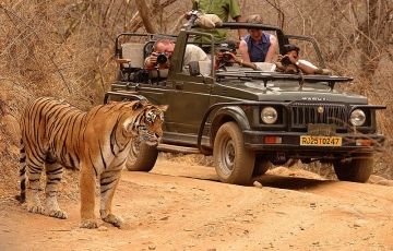 Ecstatic 5 Days 4 Nights Jaipur and Ranthambore Vacation Package