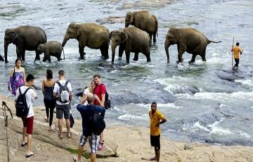 Experience 5 Days 4 Nights Kithulgala, Nuwara Eliya, Bentota and Balapitiya Trip Package