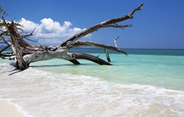 Beautiful Port Blair Tour Package for 6 Days 5 Nights