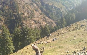 Pleasurable 3 Days 2 Nights Kasol, Manikaran and Malana Village Vacation Package