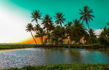 Ecstatic 3 Days 2 Nights Kumarakom with Alleppey Tour Package