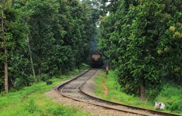 Experience 4 Days 3 Nights Alleppey Vacation Package