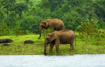 Experience 4 Days 3 Nights Munnar Tour Package