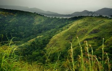 Experience 4 Days 3 Nights Munnar Tour Package