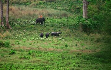 Memorable 4 Days 3 Nights Suntaleykhola Tour Package