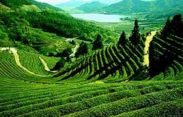 Family Getaway 5 Days 4 Nights Munnar, Thekkady and Alleppey Vacation Package