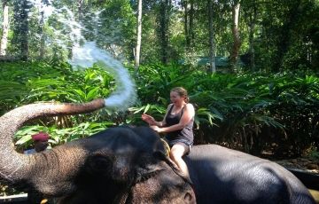 Family Getaway 5 Days 4 Nights Munnar, Thekkady and Alleppey Vacation Package