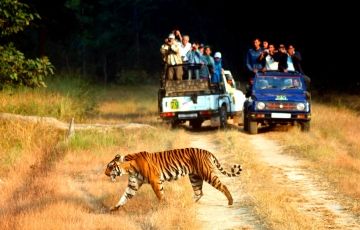 Experience Corbett Tour Package for 3 Days 2 Nights