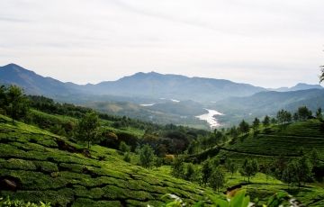 Memorable 4 Days 3 Nights Munnar with Thekkady Tour Package