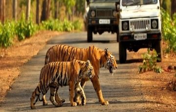 Amazing Uttaranchal 4N/5D Package