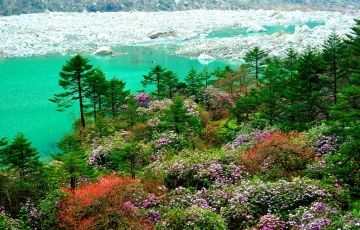 Ecstatic 6 Days 5 Nights Gangtok, Yumthang and Lachen Trip Package