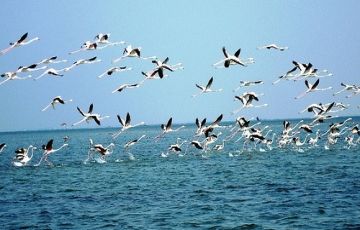 Magical 4 Days 3 Nights Bhubaneswar Trip Package