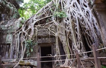 5 Days Siem Reap to Phnom Kulen Tour Package