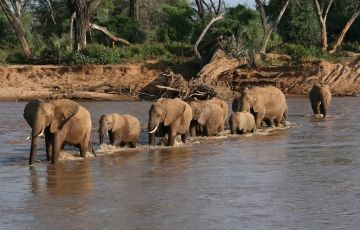 Pleasurable 7 Days 6 Nights Lake Naivasha Tour Package