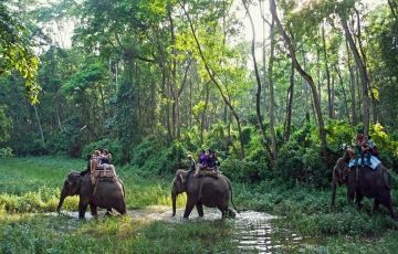Experience Chitwan Tour Package for 4 Days 3 Nights