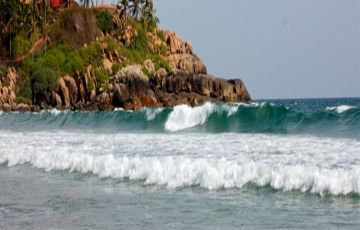 Munnar, Alleppey and Kovalam Tour Package for 6 Days 5 Nights