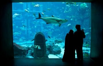 Ecstatic 5 Days Dubai Holiday Package by Yatra Crafters Pvt Ltd