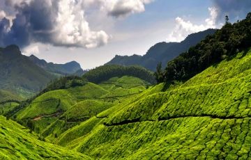 Beautiful 6 Days 5 Nights Munnar, Thekkady, Kovalam with Kanyakumari Holiday Package