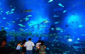 Experience 7 Days 6 Nights Abu dhabi Water Sport Tour Package