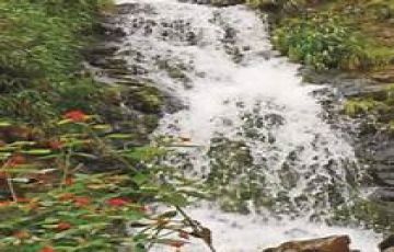 Ecstatic 2 Days 1 Night Panchgani Tour Package