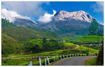Experience 5 Days 4 Nights Munnar and Alleppey Trip Package