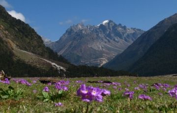 Memorable 9 Days 8 Nights Lachung Tour Package