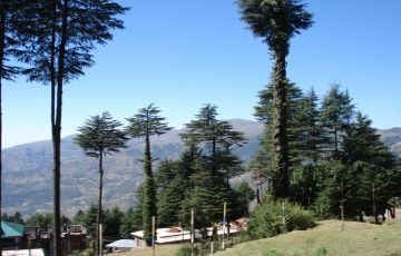 Beautiful 3 Days 2 Nights Katra and Patnitop Tour Package