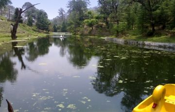 Memorable 6 Days 5 Nights Ranikhet Trip Package