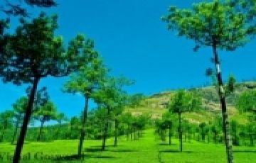 Family Getaway 5 Days 4 Nights Munnar, Thekkady with Alleppey Trip Package