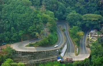 Wild Wayanad (3 Night /4 Days) Package