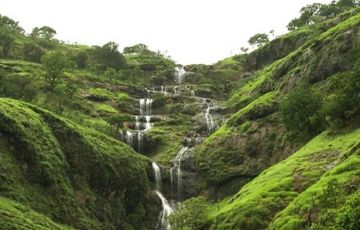 Heart-warming 4 Days 3 Nights Coorg and Mysore Tour Package