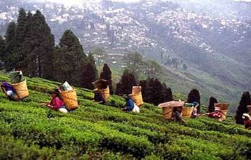 Heart-warming 5 Days 4 Nights Gangtok and Darjeeling Holiday Package