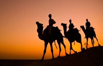Best jaisalmer Tour Package for 8 Days 7 Nights