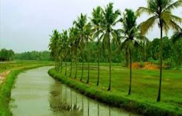 Best 6 Days 5 Nights Cochin, Munnar and Thekkady Trip Package