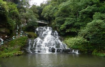 Pleasurable 6 Days 5 Nights Cherapunji, Mawlynnong, Kaziranga National Park and Shillong Trip Package