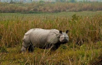 Pleasurable 6 Days 5 Nights Cherapunji, Mawlynnong, Kaziranga National Park and Shillong Trip Package