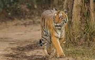 Ecstatic 8 Days 7 Nights New Delhi Vacation Package