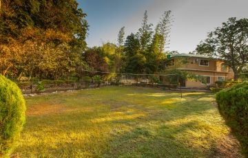 Best Jim Corbett National Park Tour Package for 3 Days 2 Nights