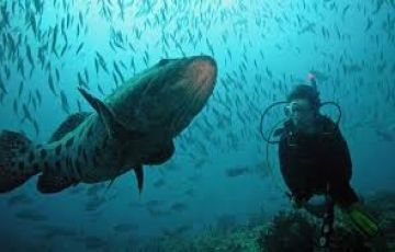 Experience 7 Days 6 Nights Port Blair with havelock Holiday Package