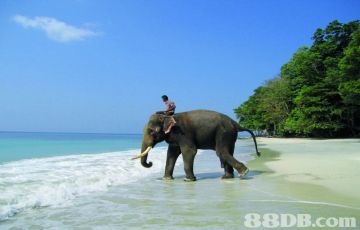 Experience 7 Days 6 Nights Port Blair with havelock Holiday Package