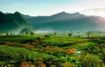 Memorable 7 Days 6 Nights Cochin, Munnar, Thekkedy with Kumarakom Tour Package