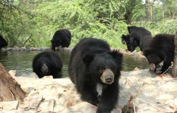 Family Getaway Agra Tour Package for 2 Days by Mother India Escapes