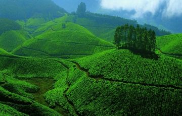 Pleasurable 7 Days 6 Nights Alleppey Holiday Package