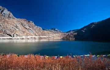 Heart-warming 8 Days 7 Nights Yumthang Vacation Package