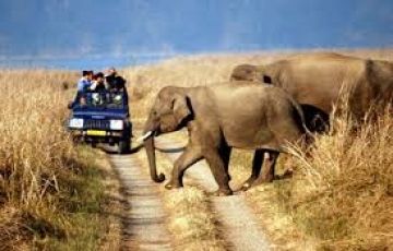 Best 4 Days 3 Nights Jaipur with Ranthambore Vacation Package